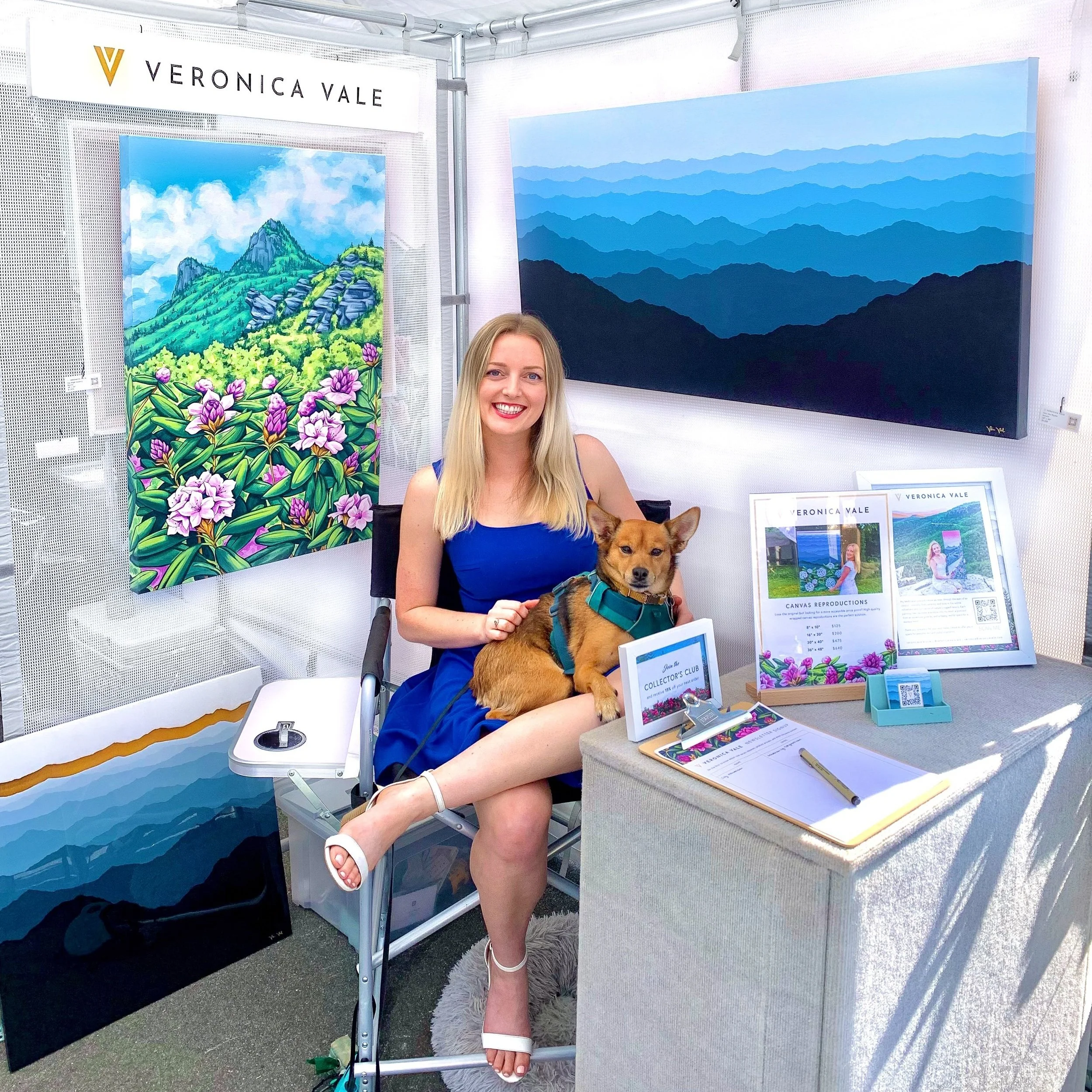 Art in the Park August 2023 | Blowing Rock, NC