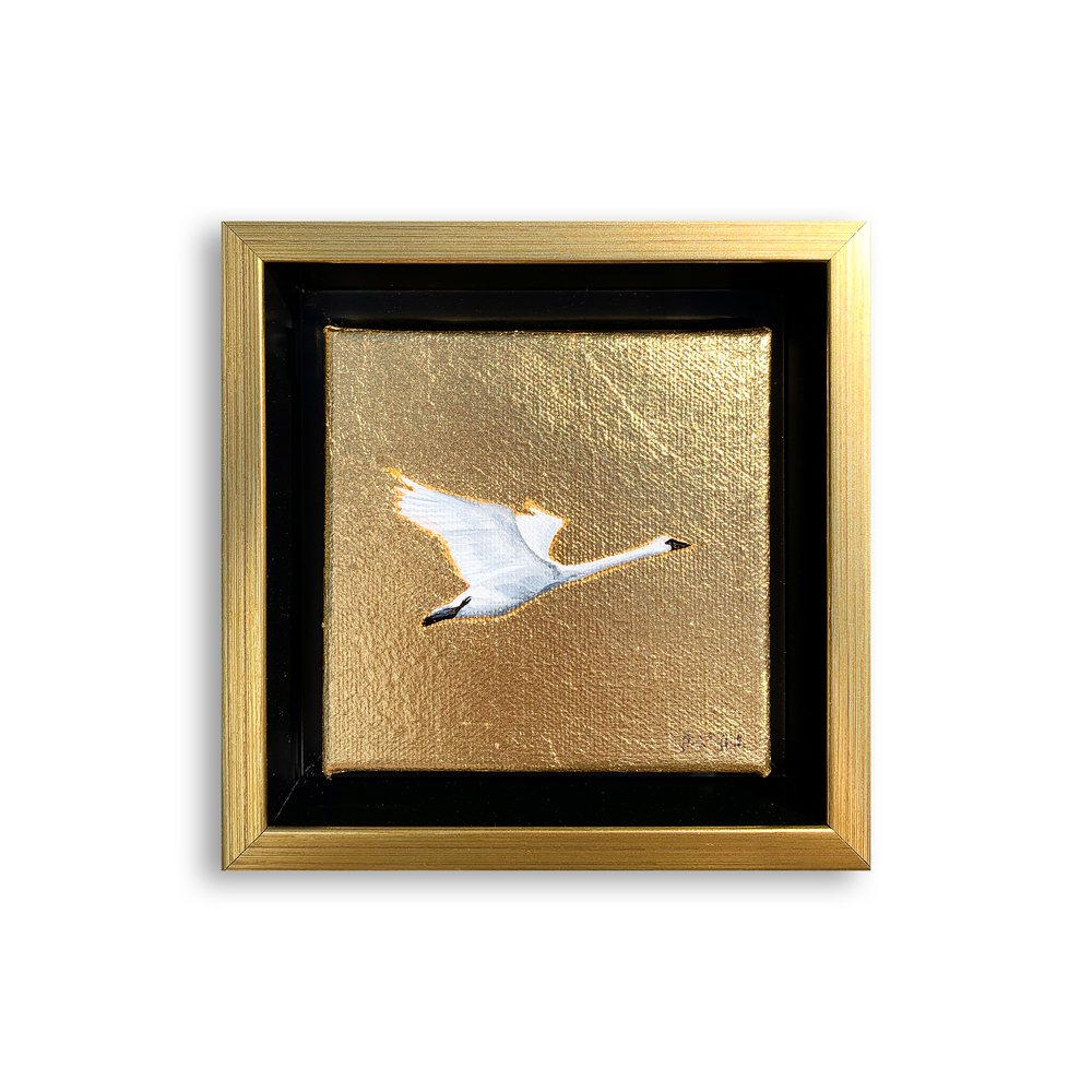 Golden Swan Mini II_2.jpg