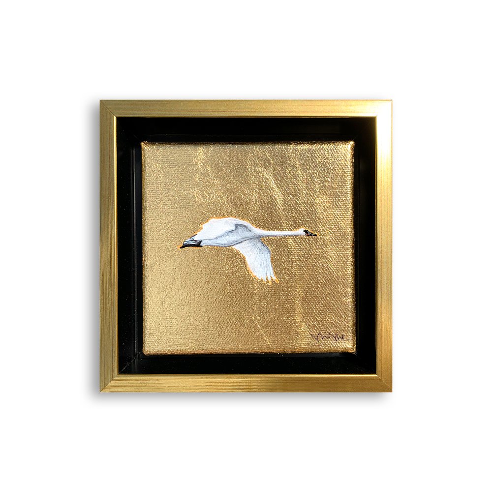 Golden Swan Mini I_2.jpg