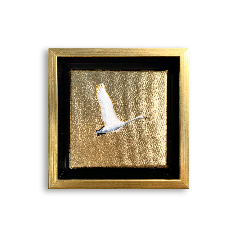 Golden Swan Mini III_2.jpg