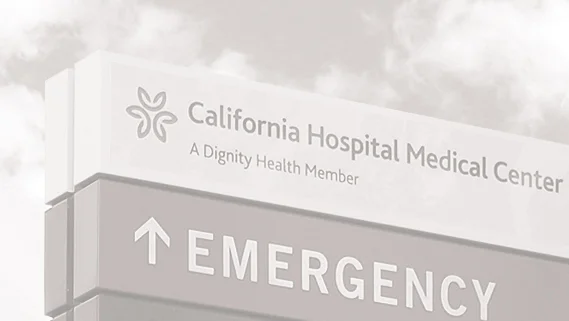 thumbnail-SEPIA BEST.jpg