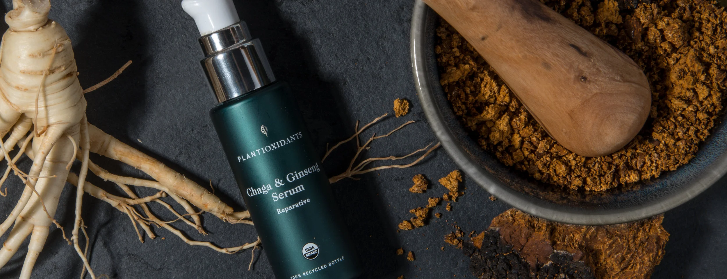 Chaga and Ginseng.jpg