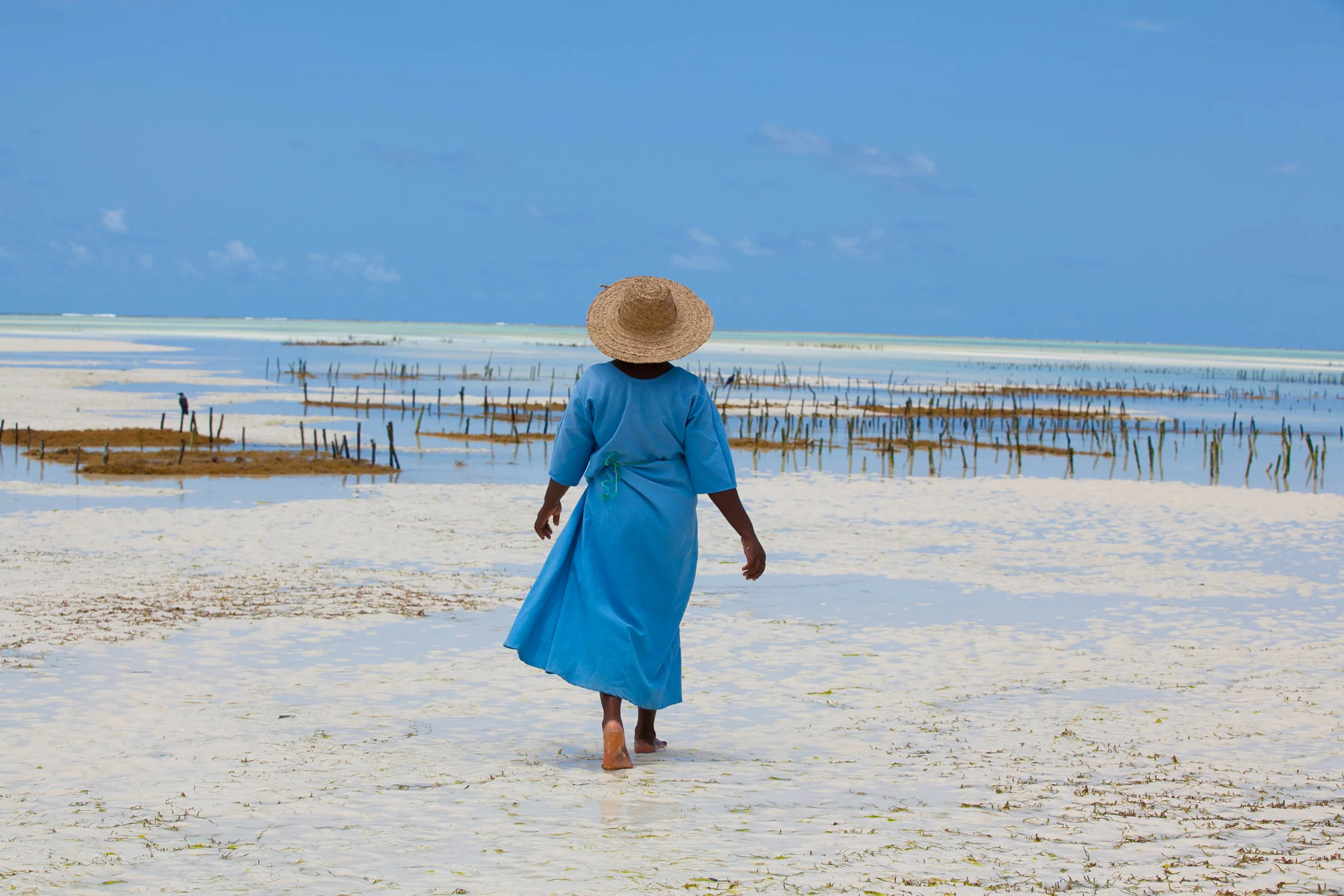 THE MAMAS OF ZANZIBAR