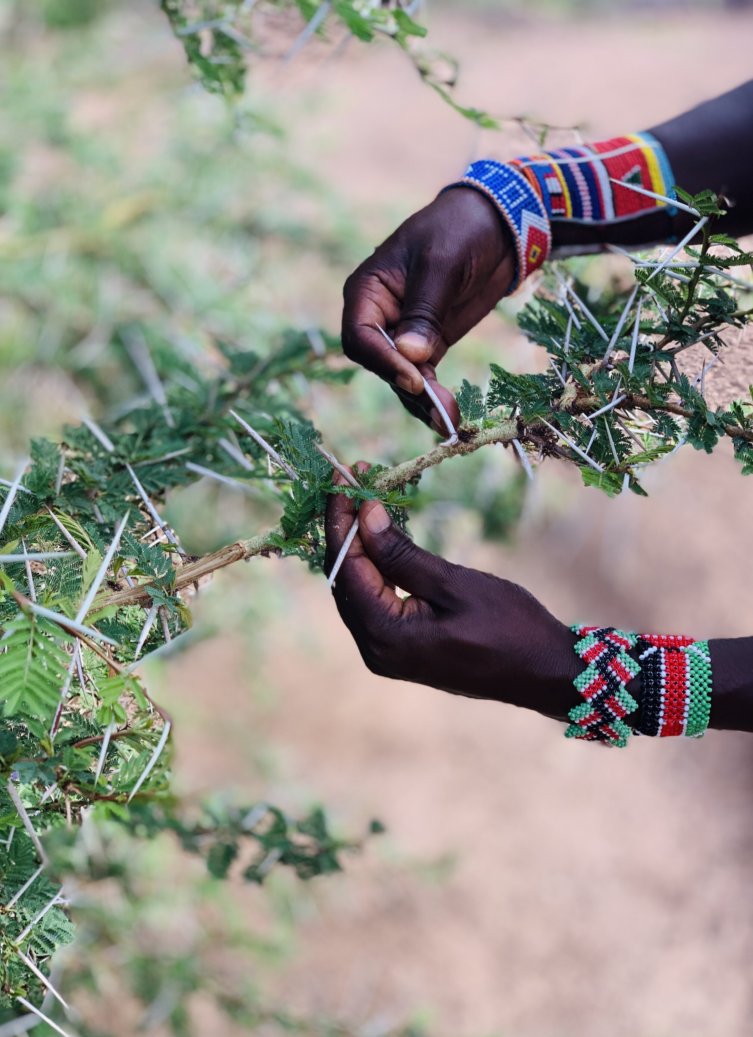 Photo Ethics While Traveling, Part I: Taking the Images