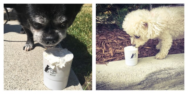 Who wants a Puppiccino?
