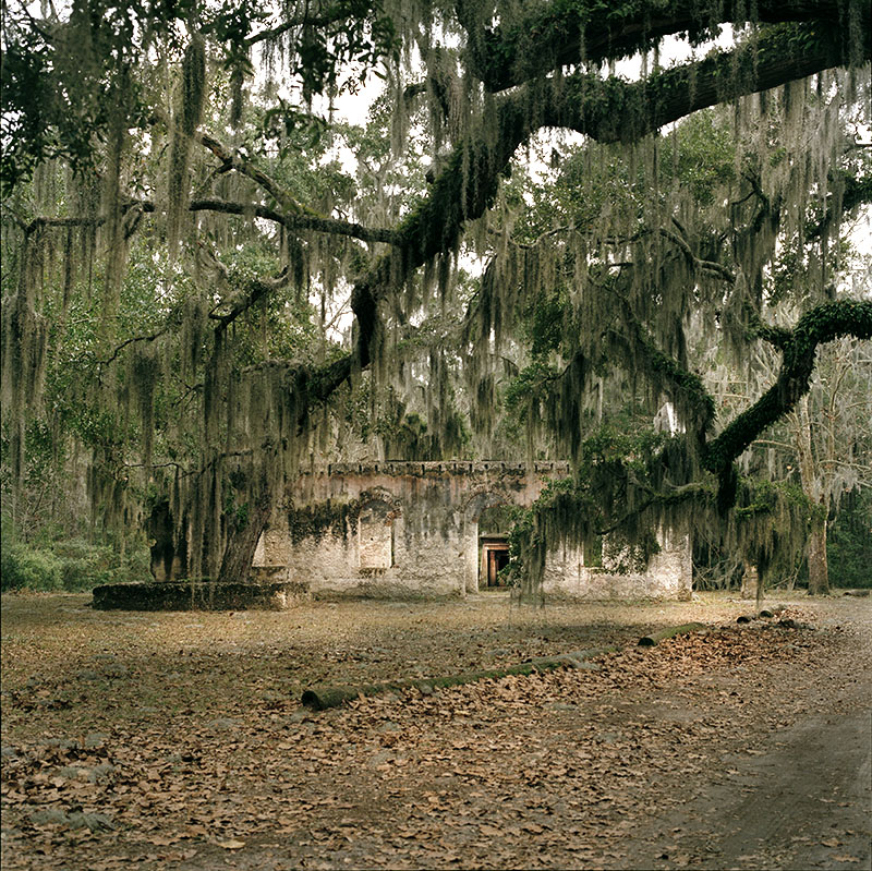 spanish_moss_graveyard.jpg