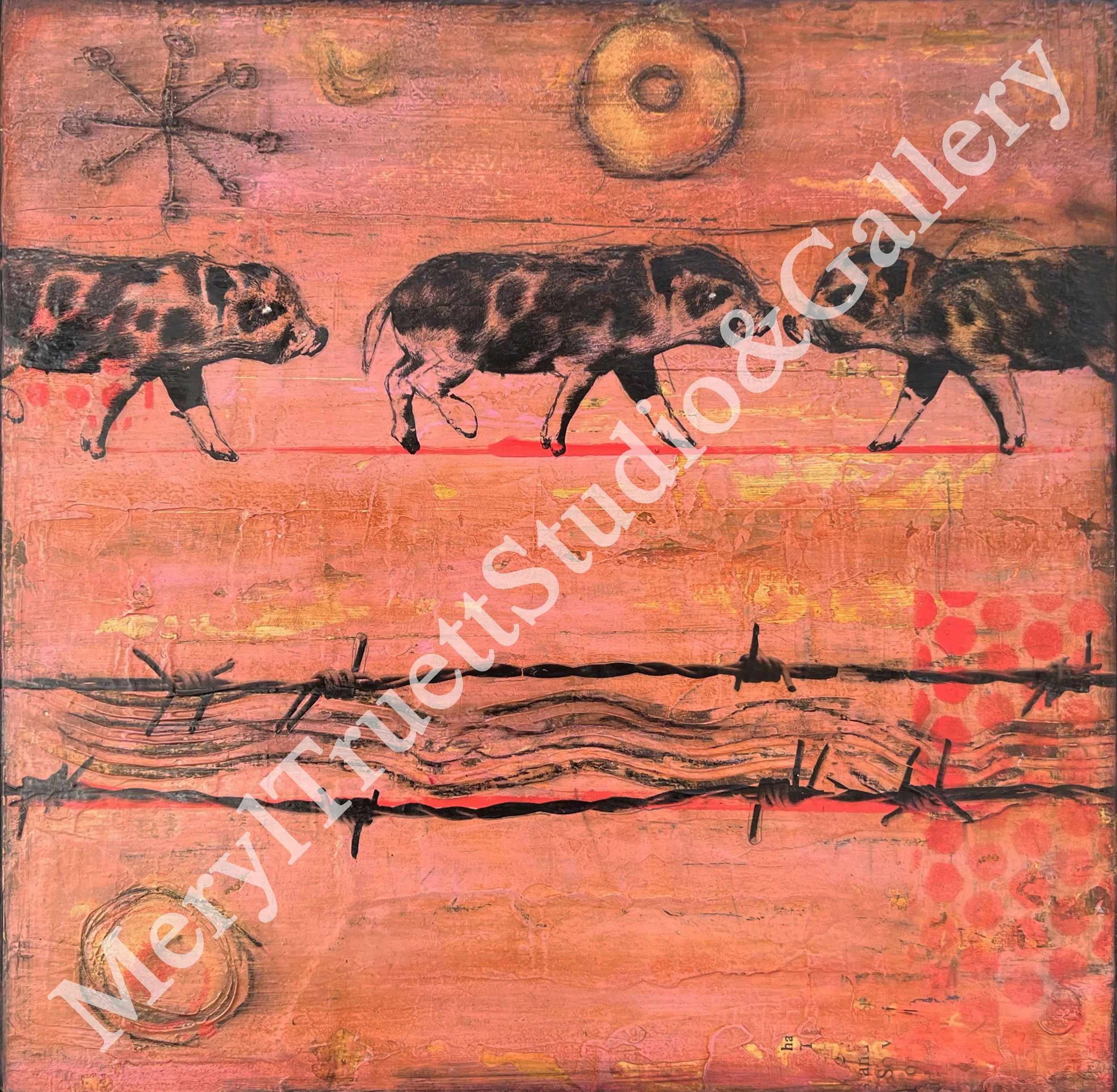why-did-the-pigs-cross-the-road-_web.jpg
