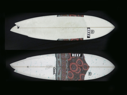 MIM ASYMETRIC FINLESS