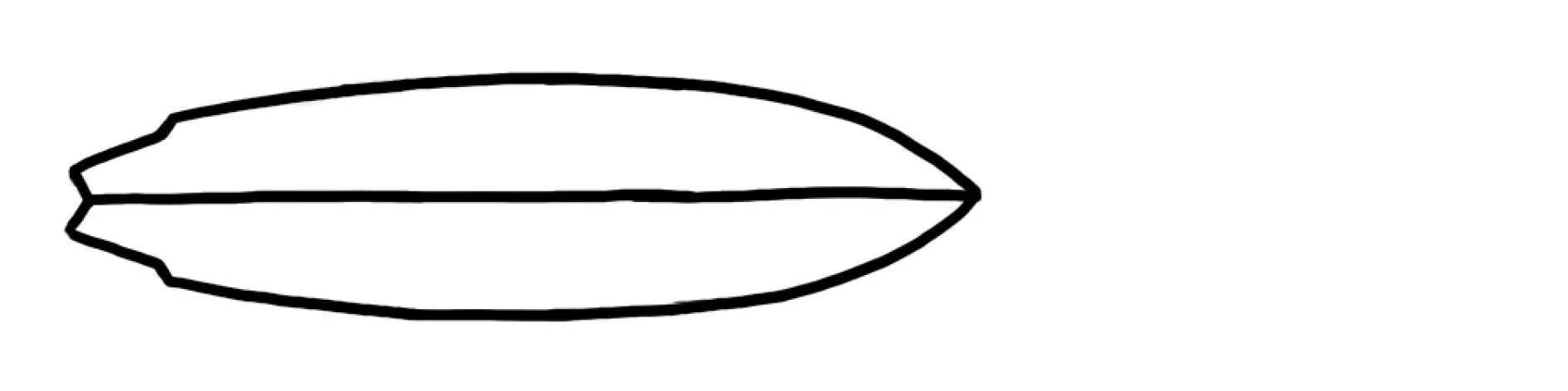 Sans titre-23.jpg