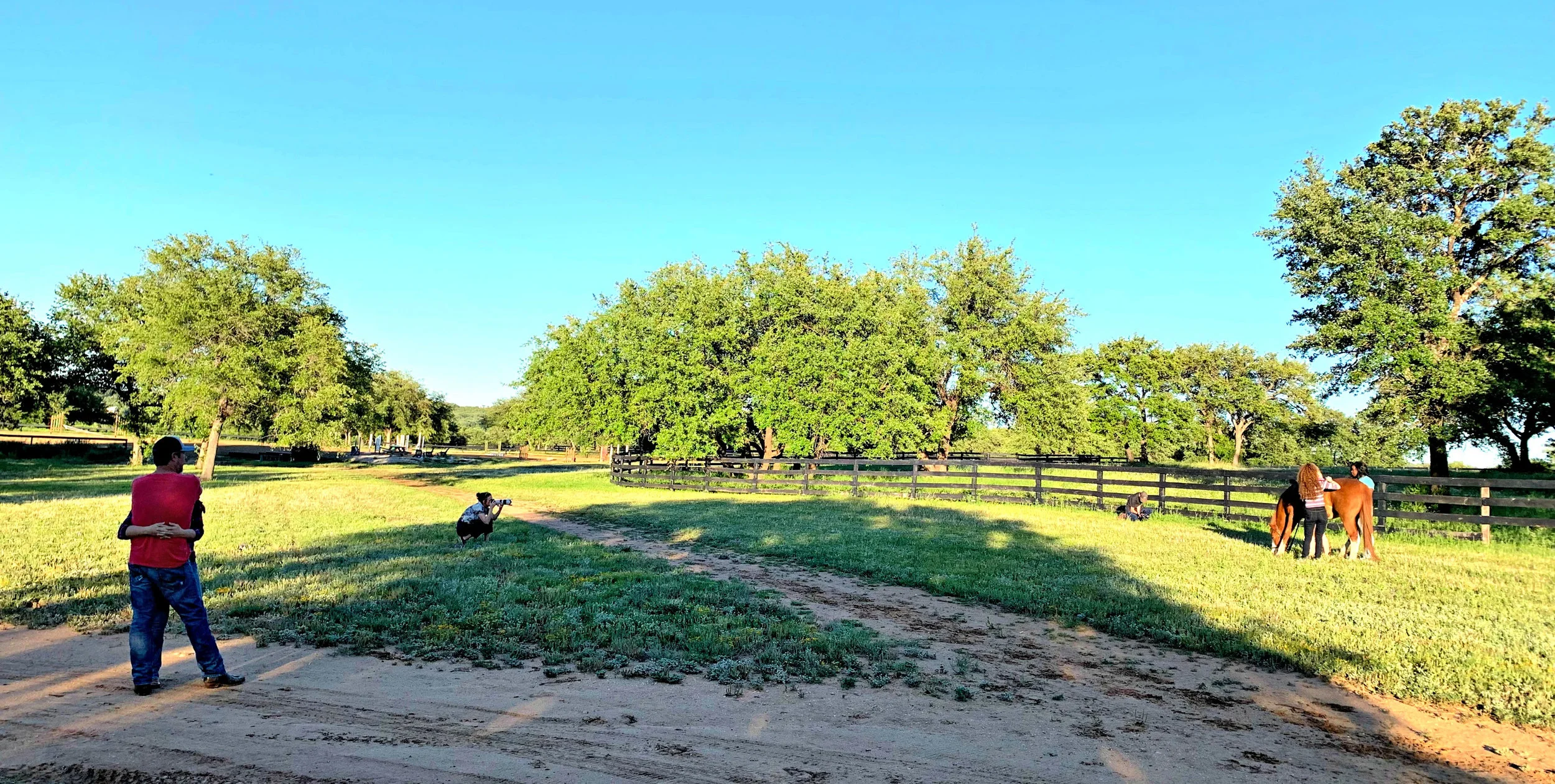 FieldofDreams2.jpg