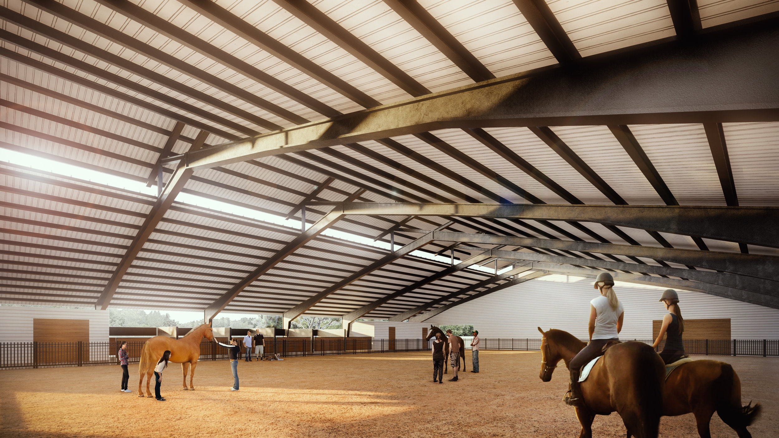 EquineRendering.jpg