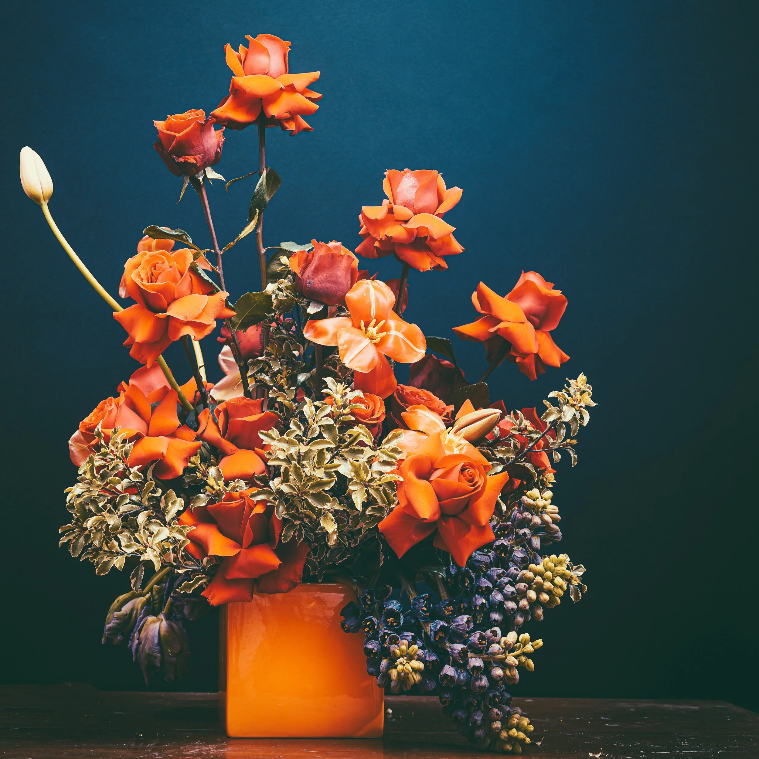 Hbo Full Bloom The Refuge Blog The Refuge For Dmst Hbo Full Bloom The Refuge Blog The Refuge For Dmst