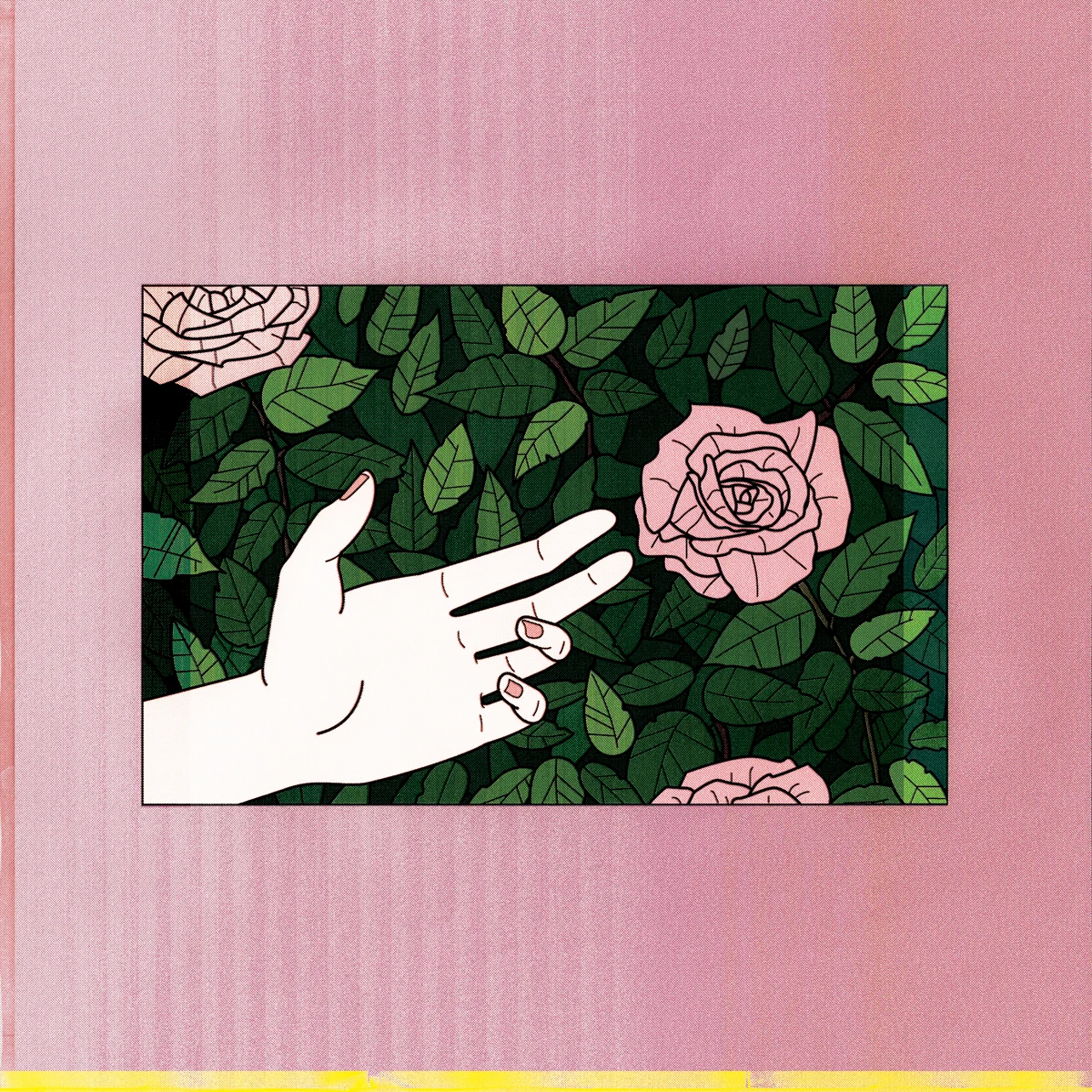 Back cover of album