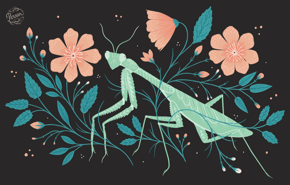 Illustration by Lisa Perrin