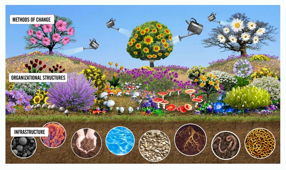 Netlab_Ecosystem.jpg