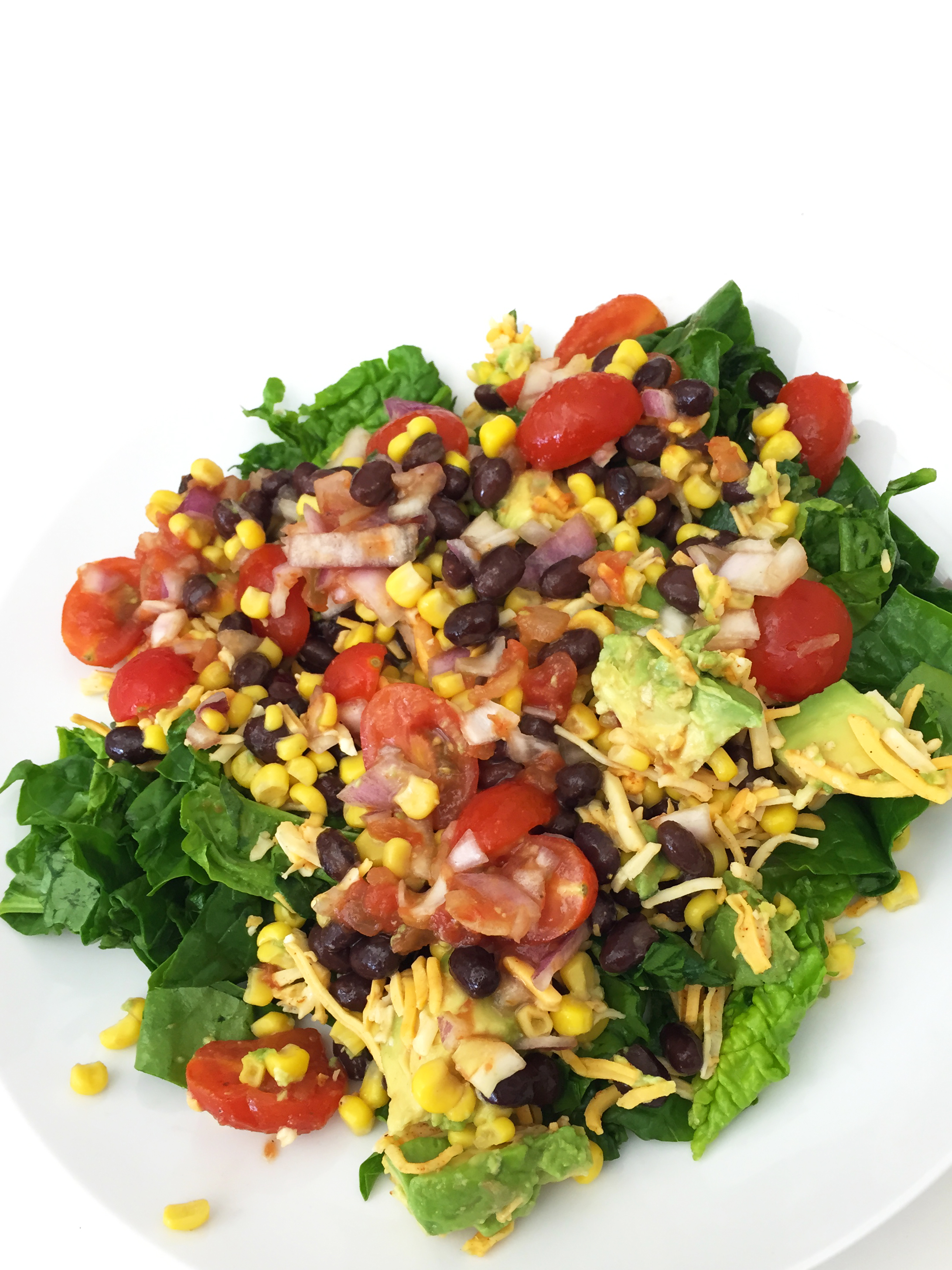 Salsa, tomatoes, red onion, corn, black beans, cheese, avocado, spinach