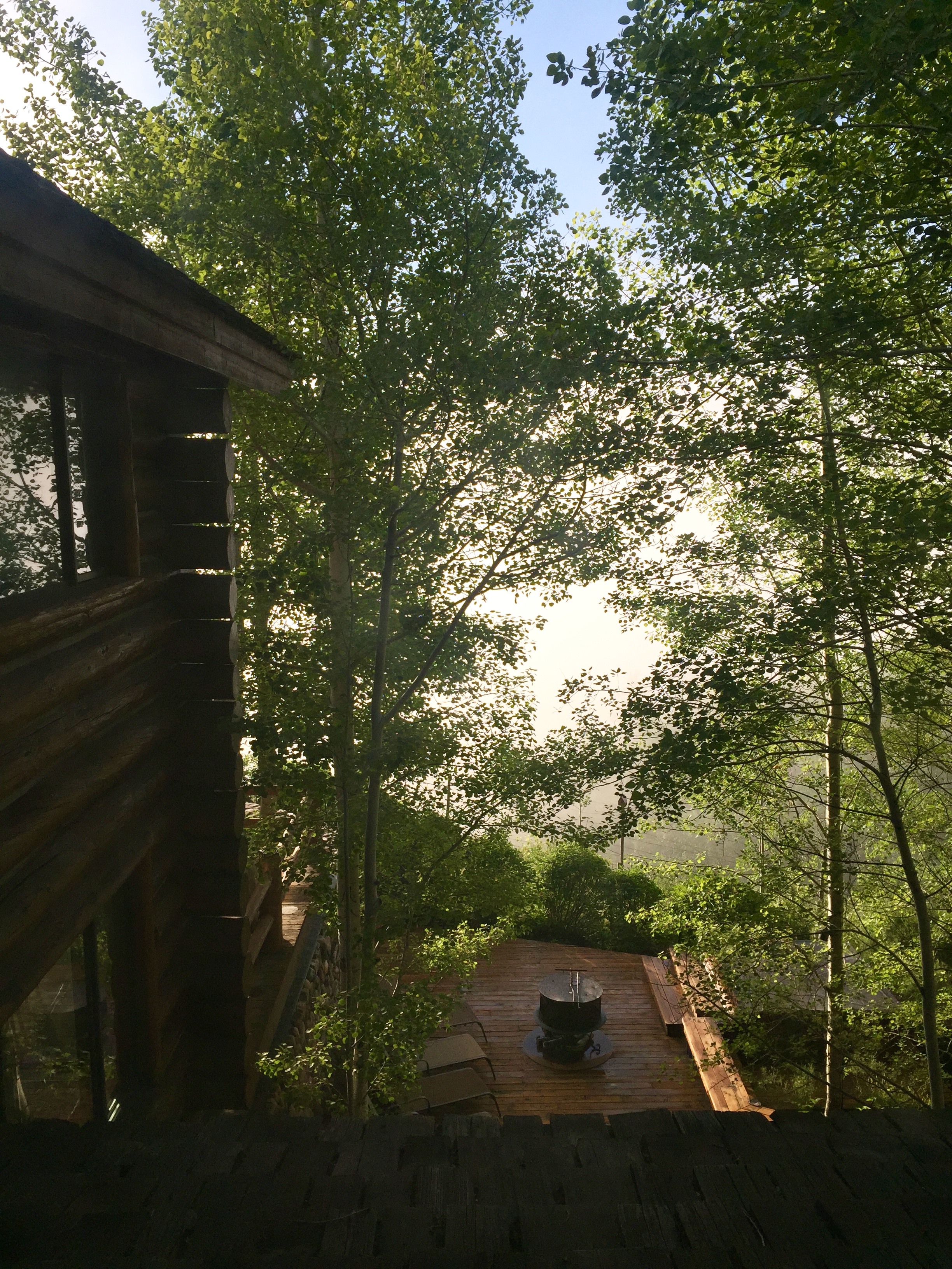 Our morning view. The fog just kind of sits around the house in the morning.