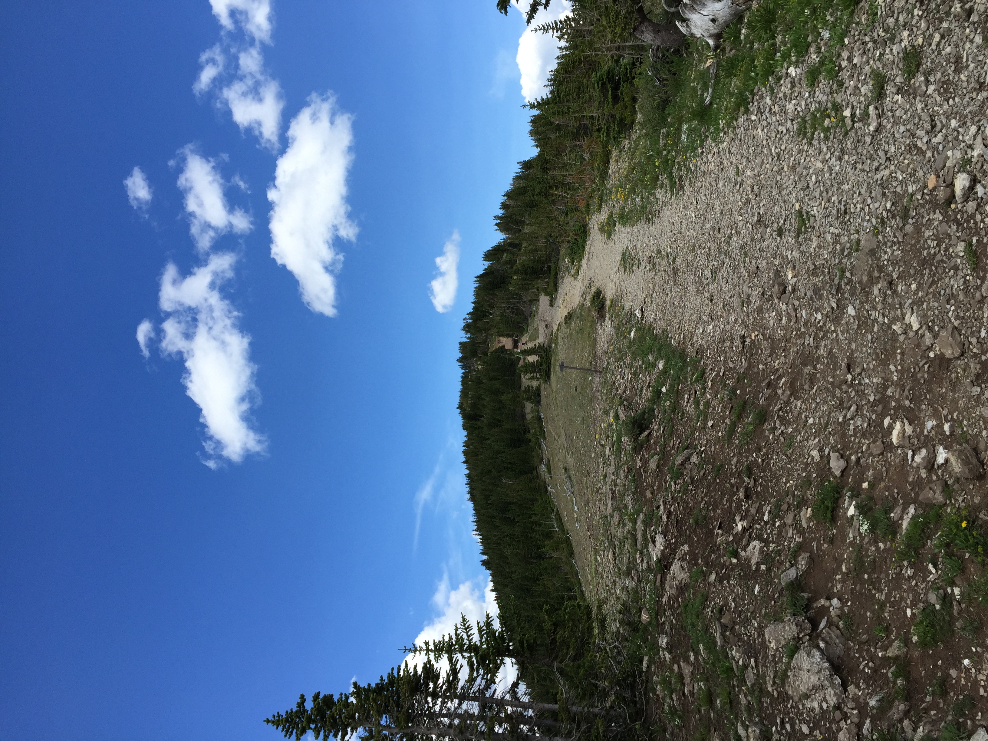 The hill of doom! Just kidding. It actually wasn't that bad, but the altitude threw me off.
