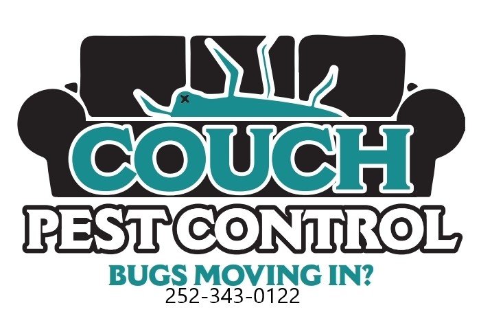 couch pest control.jpg