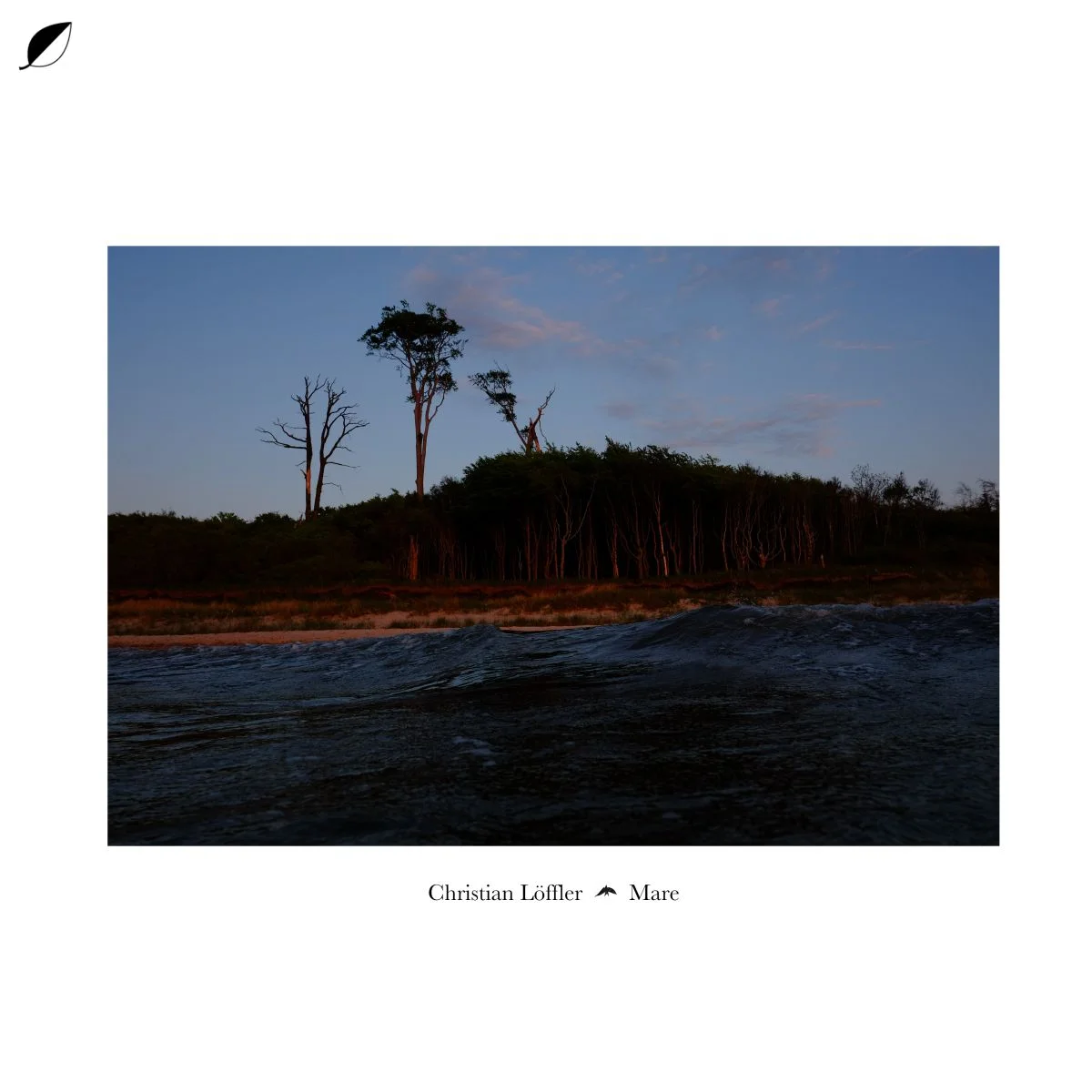 Christian Löffler_MARE_Cover.jpg