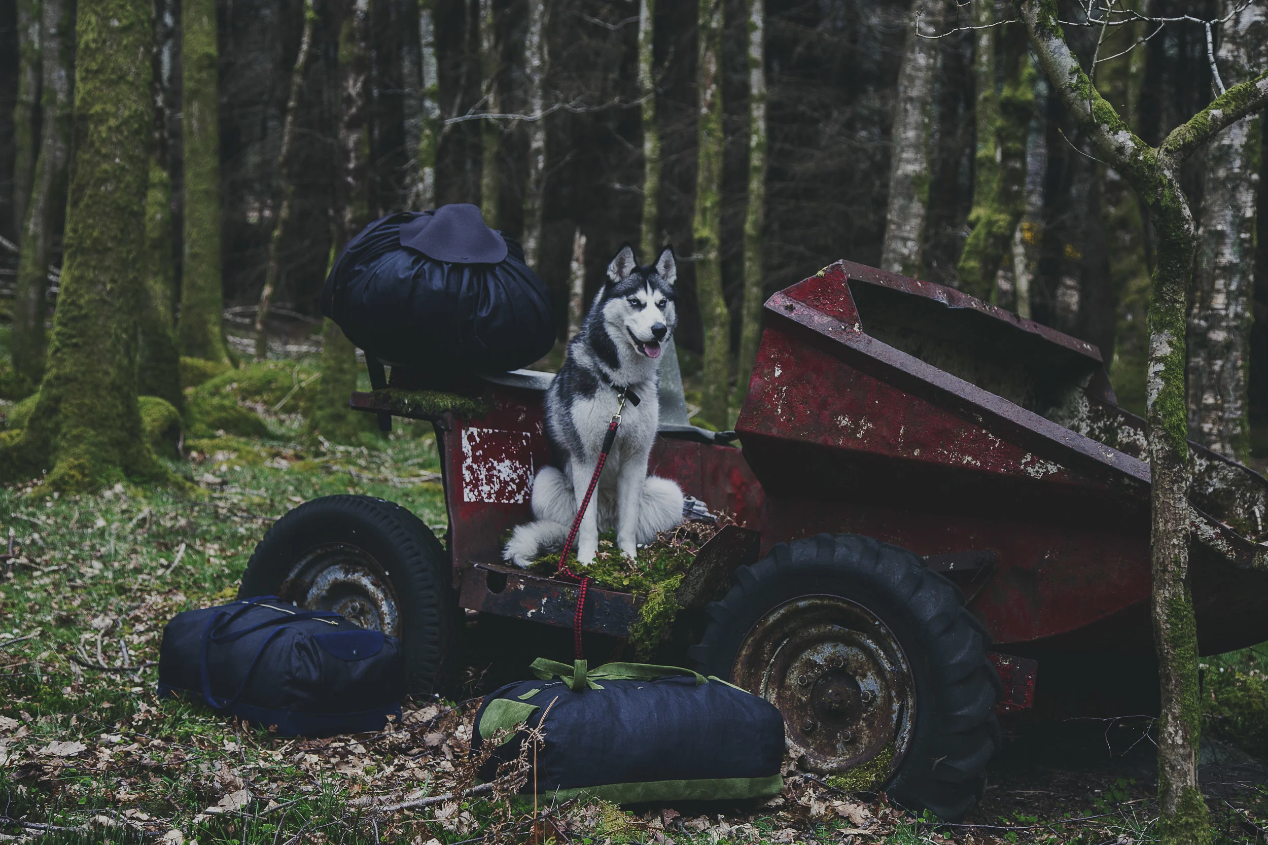 Fauna menswear by Lamis Goumaa