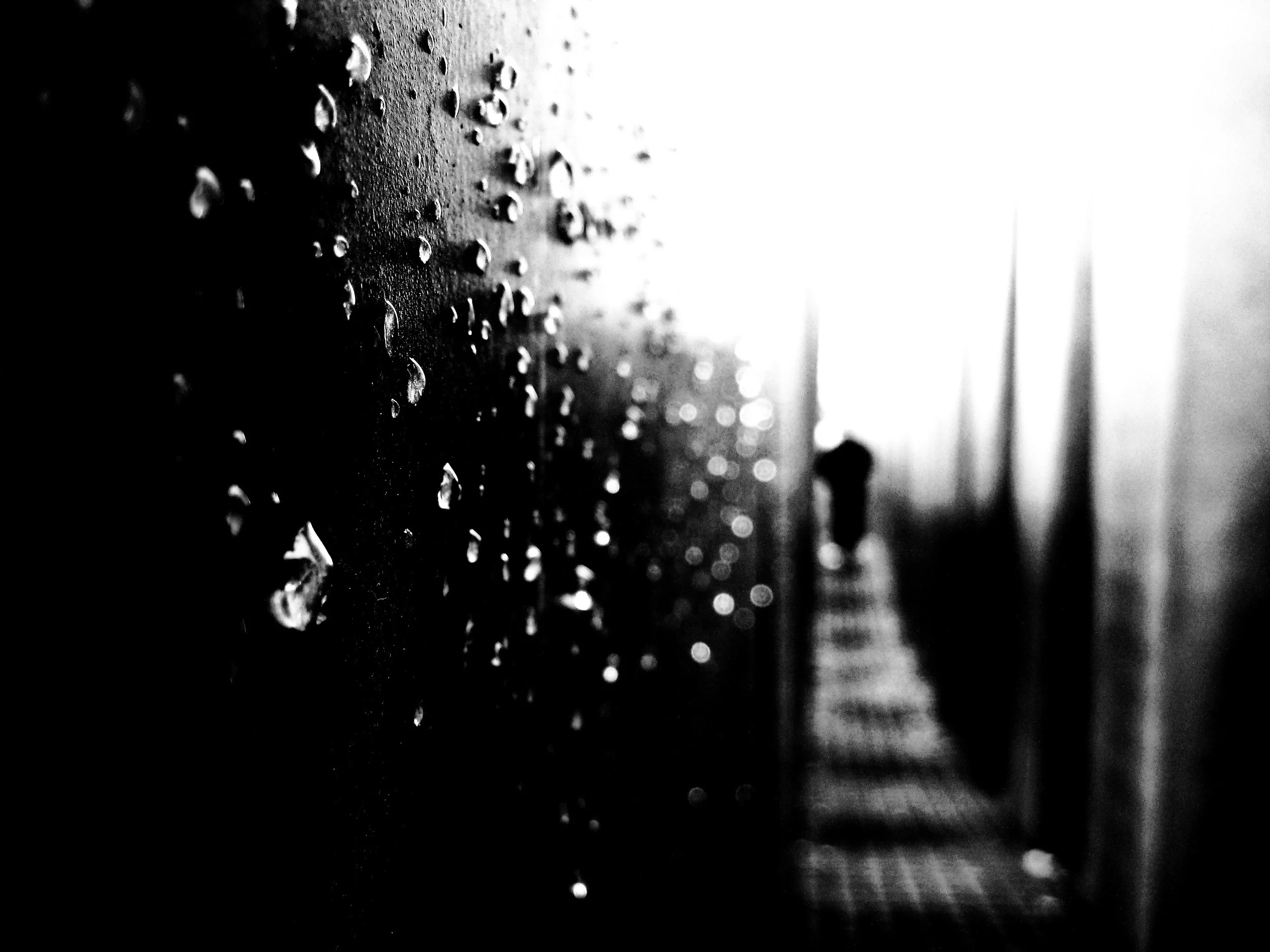 2395957966_0c086a6799_o.jpg