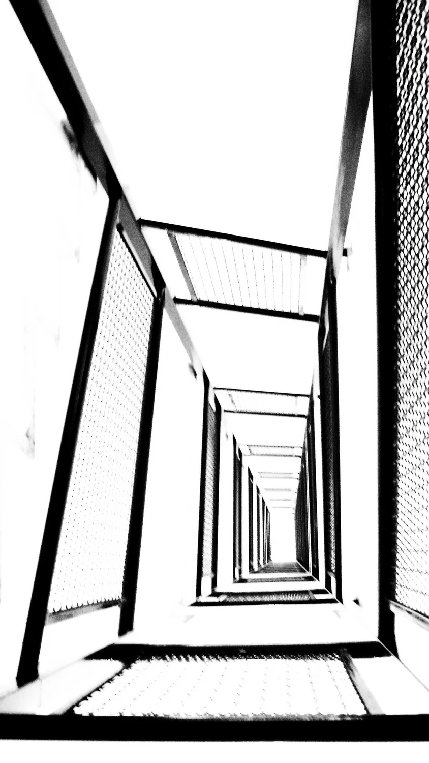 2508881779_e60471a286_o.jpg