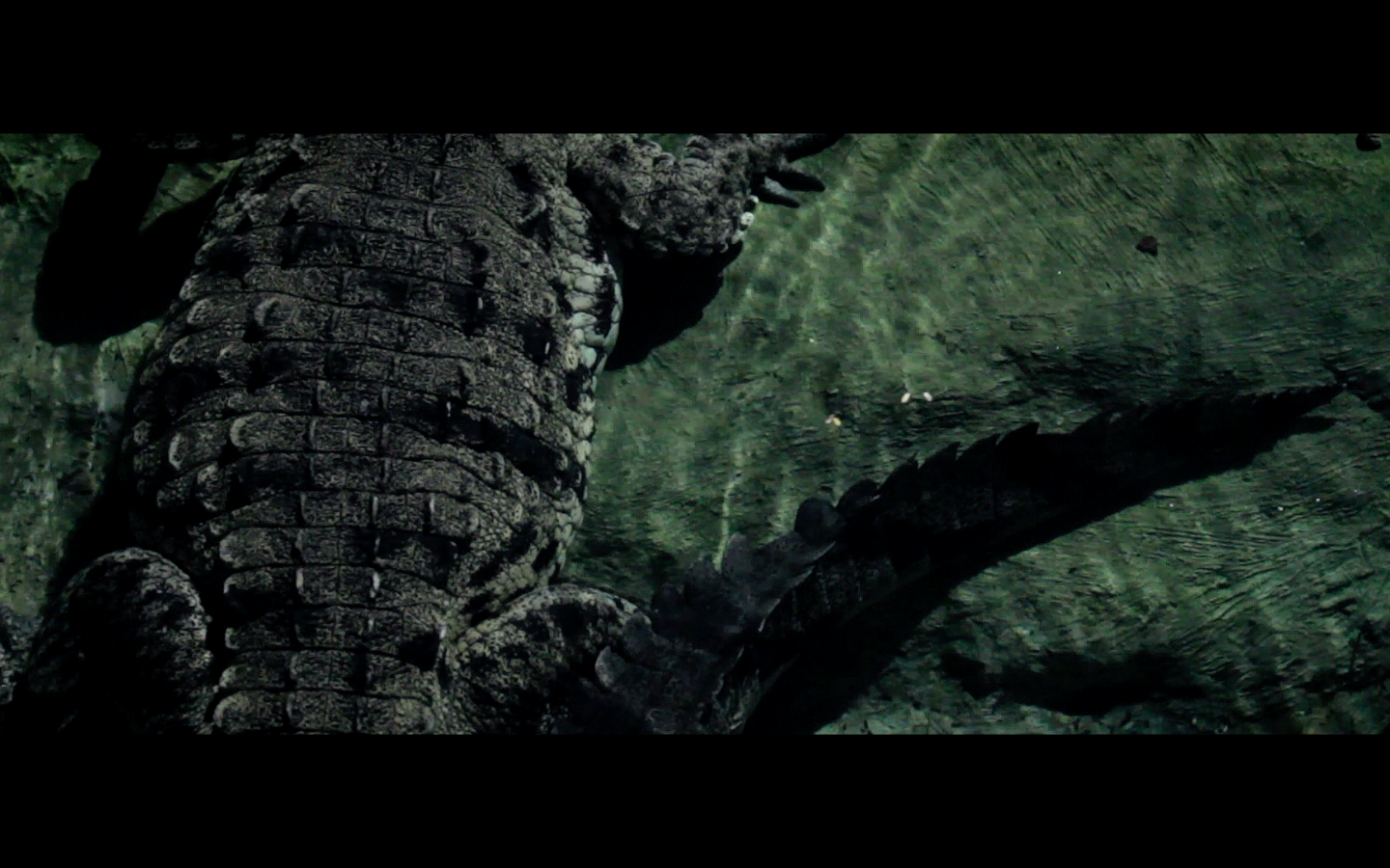 Screen Shot 2015-02-08 at 9.35.56 PM.png