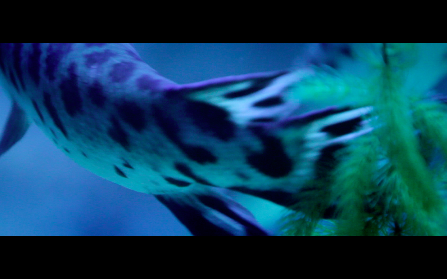Screen Shot 2015-02-08 at 9.36.20 PM.png