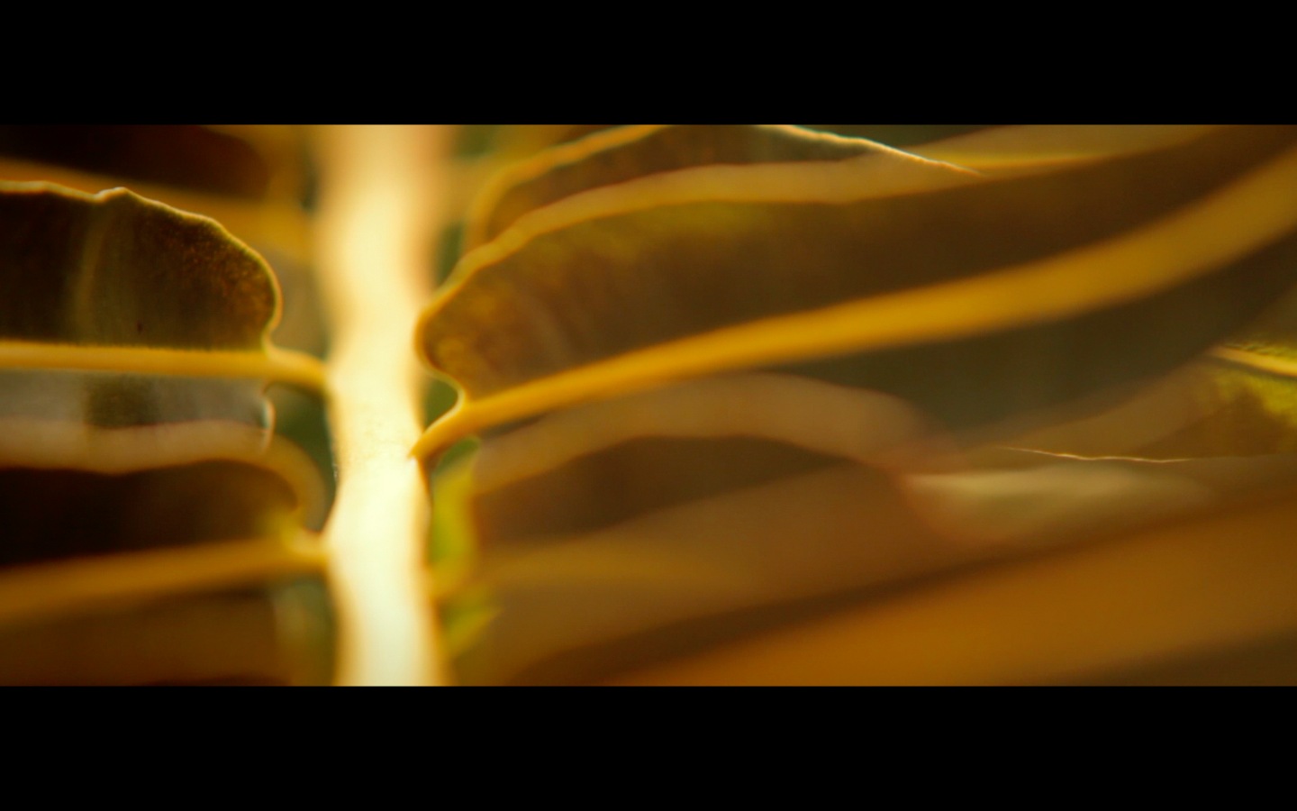 Screen Shot 2015-02-08 at 9.42.08 PM.png