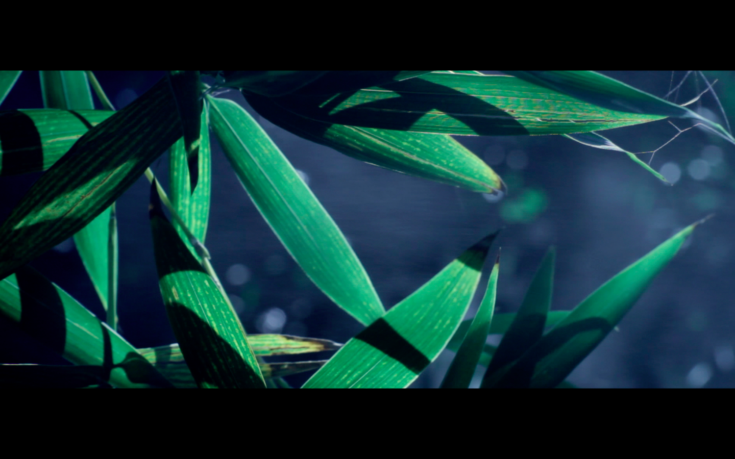 Screen Shot 2015-02-08 at 9.51.00 PM.png