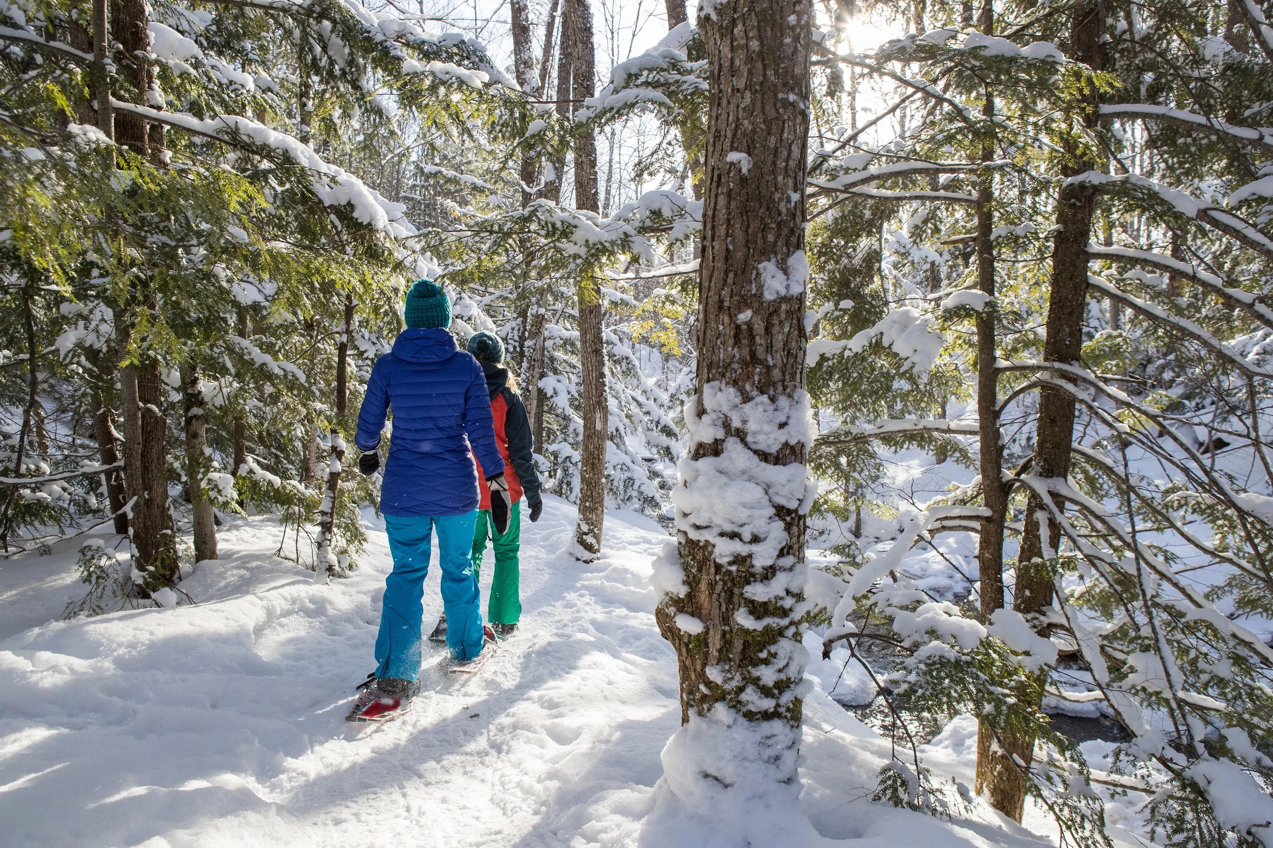 Top Snowshoeing Trails Near Canmore