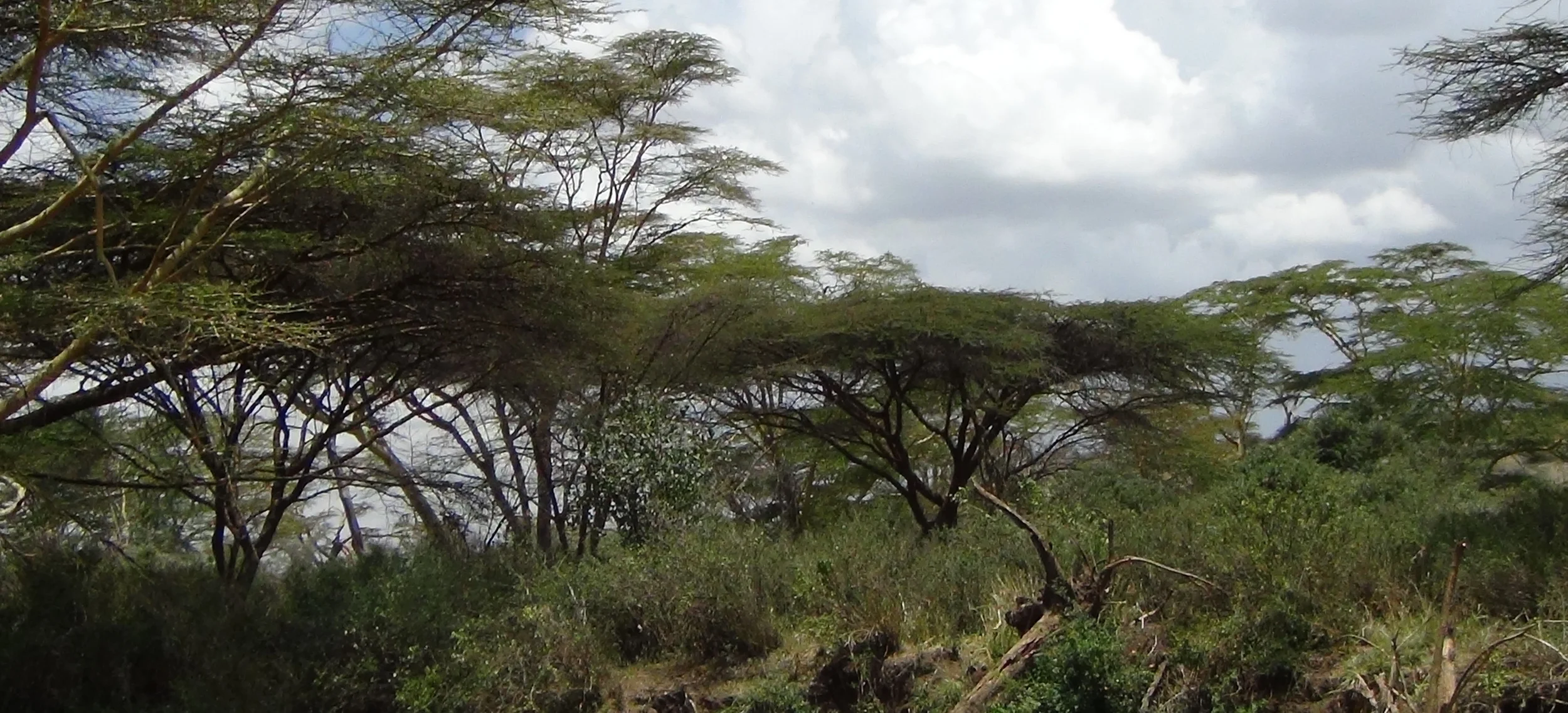 Exhaling First Before Any Breathing Exercise