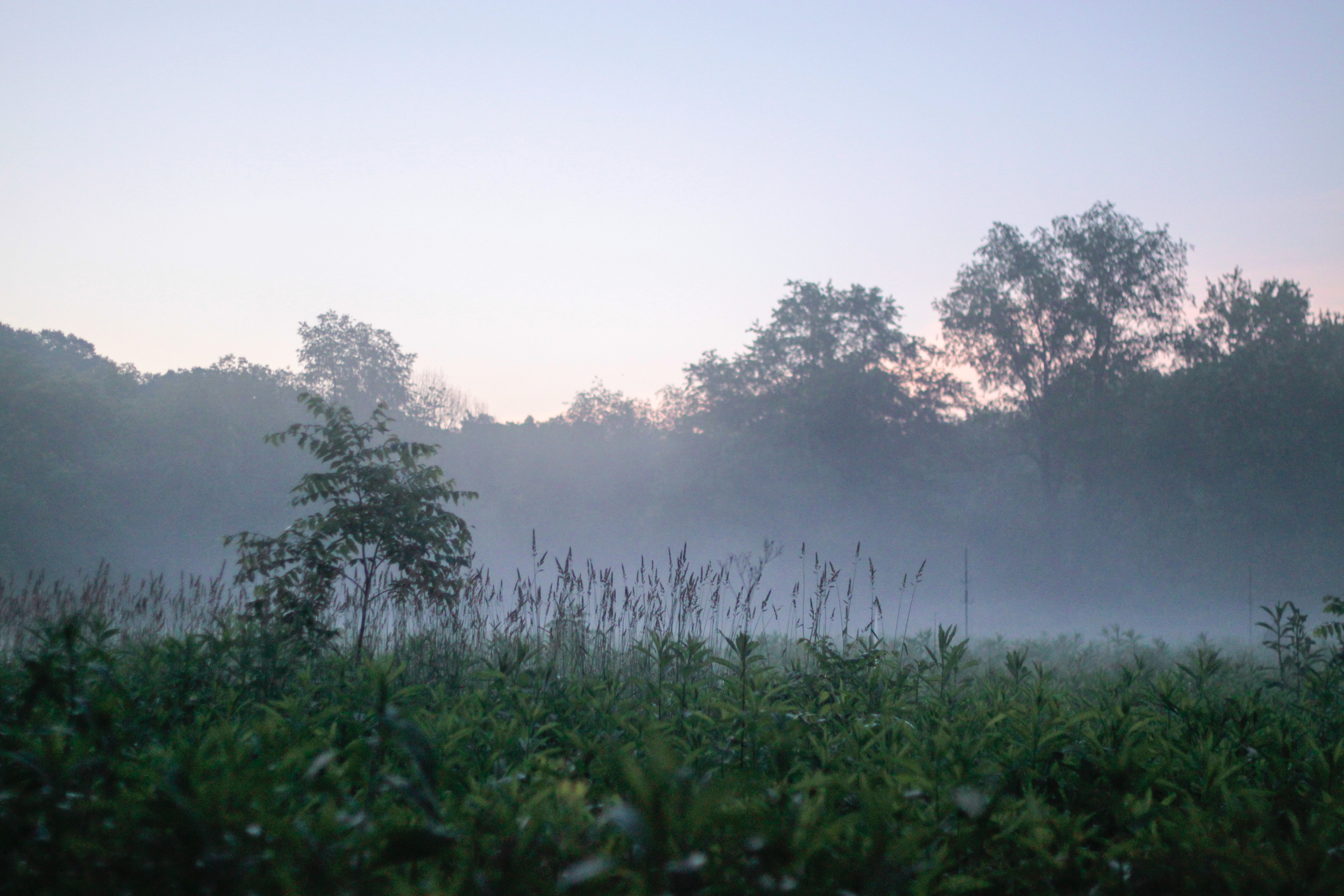 _MG_7790.jpg