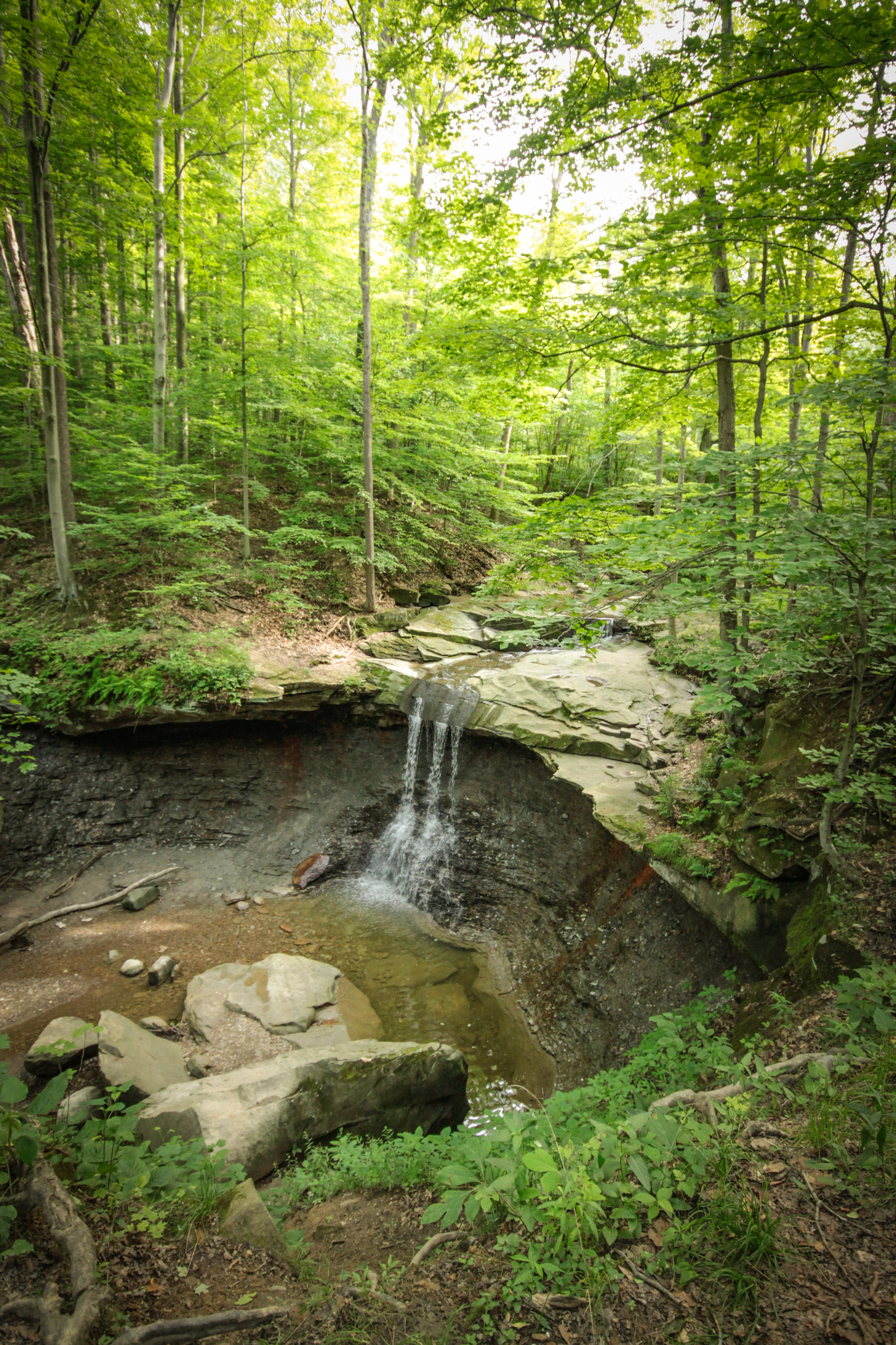 _MG_8101.jpg