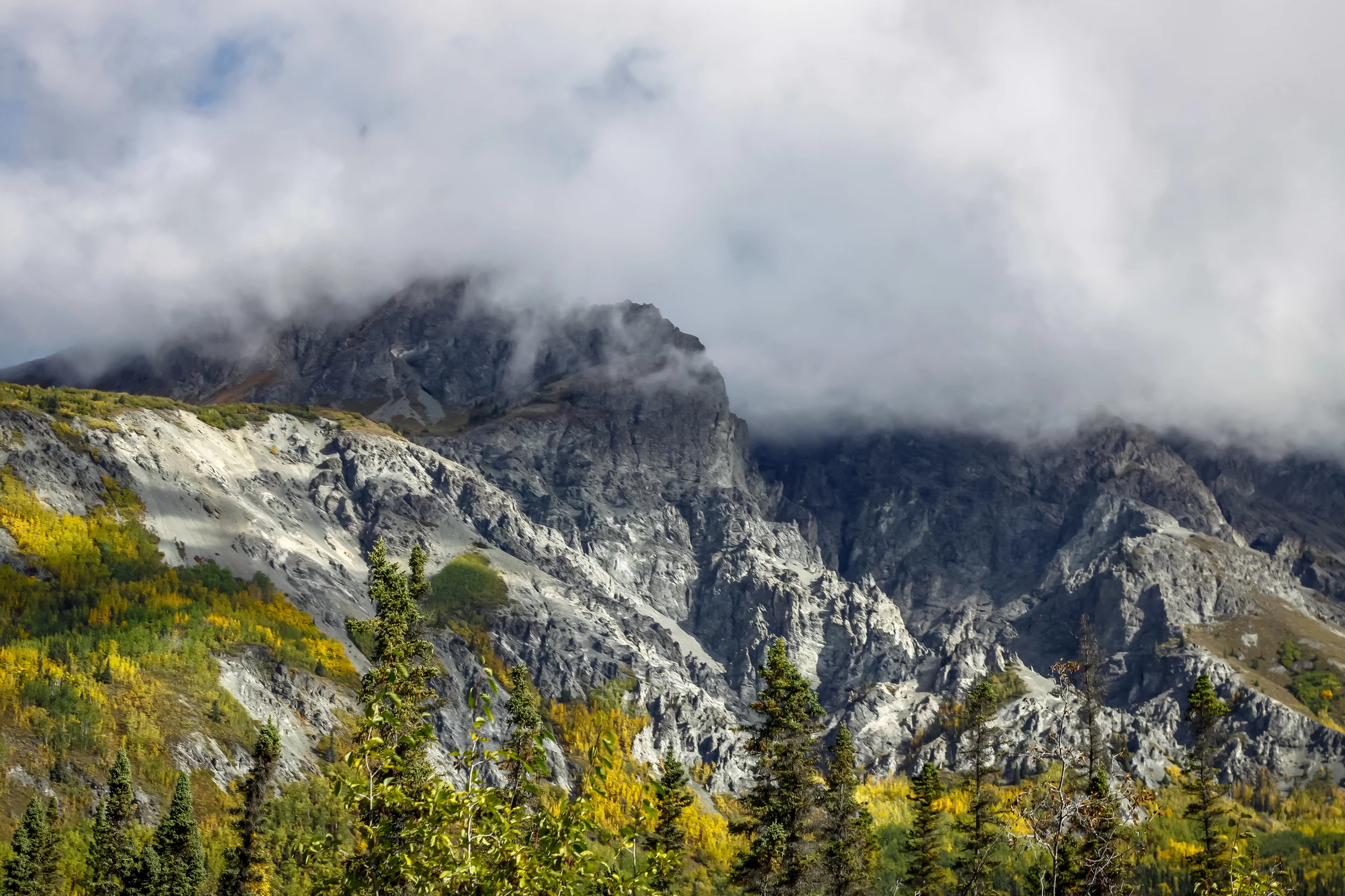 _MG_6339.jpg