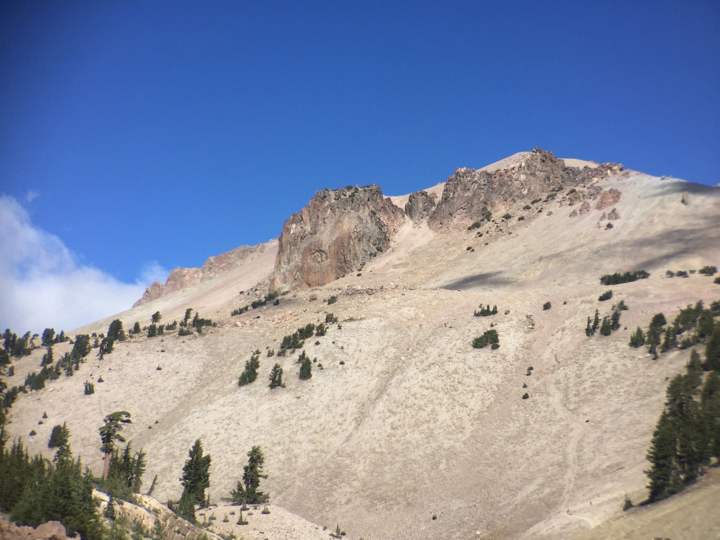 IMG_8862.jpg