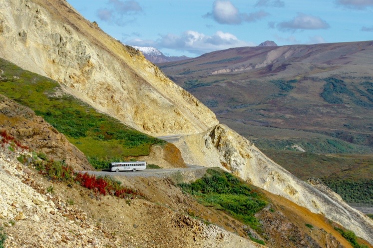 A bus driving the Denali park road