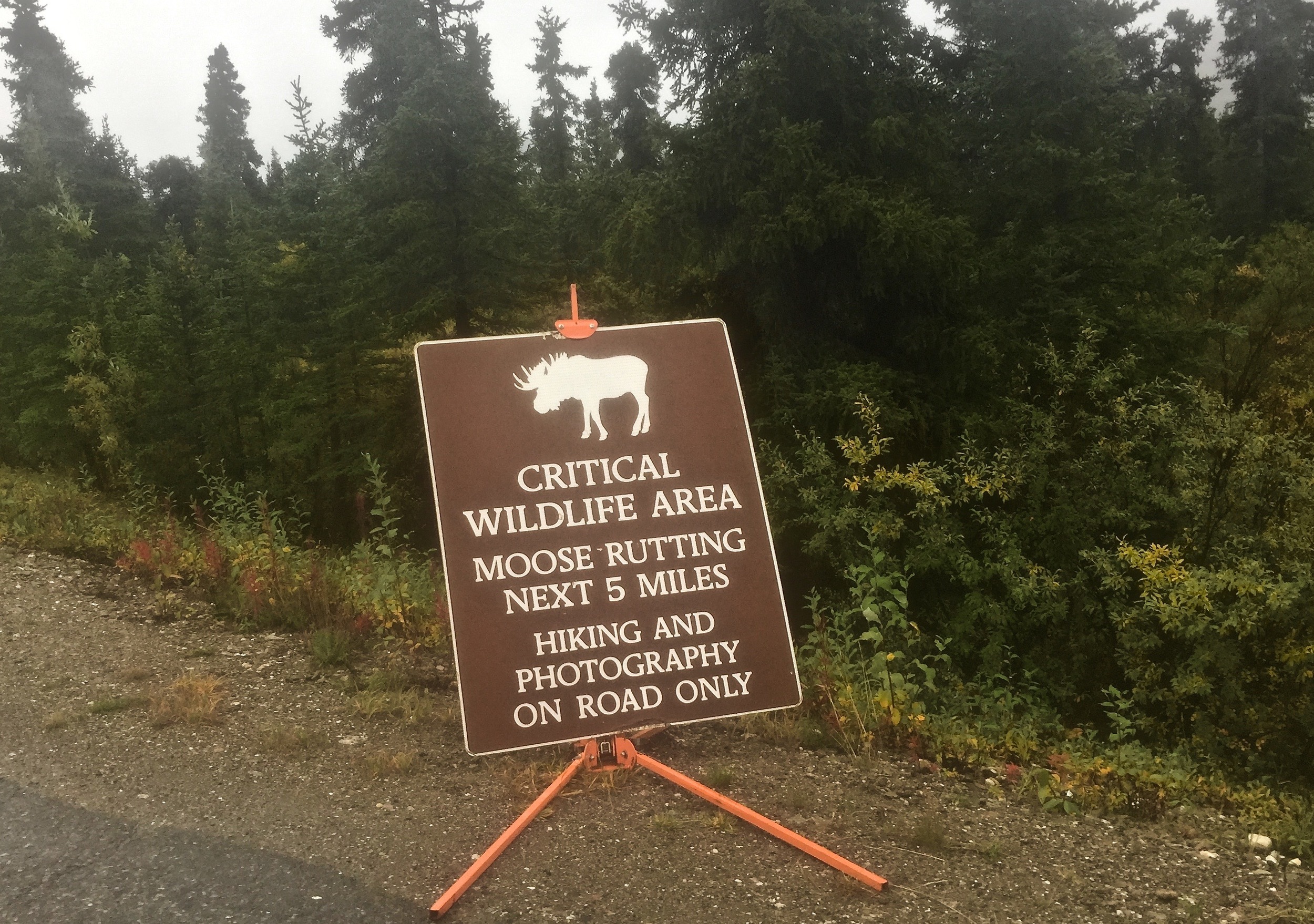 One of the few times that the animal sign looks almost EXACTLY like the actual animal