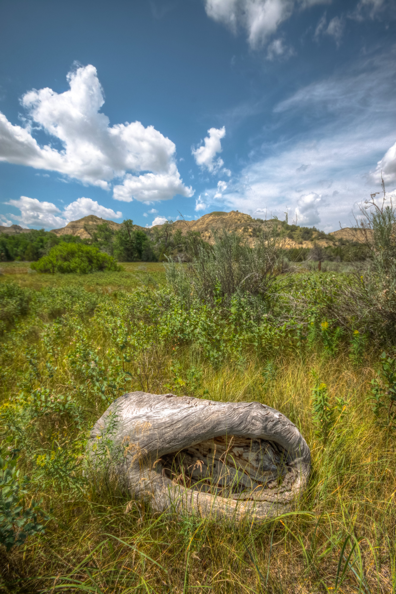 _MG_0014_5_6.jpg