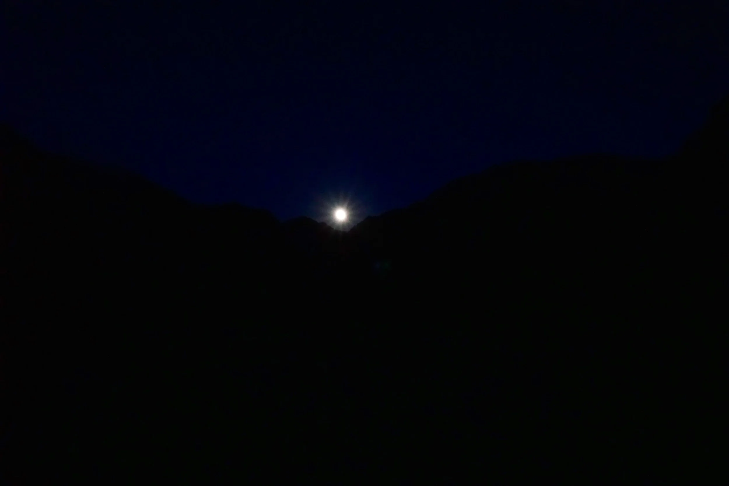 DSC08560.jpg