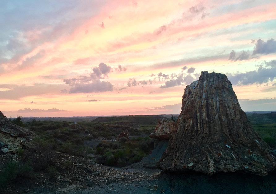 Sunset in the petrified forest