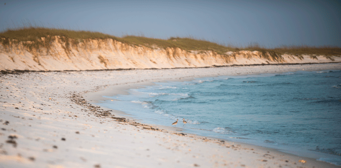 Gulf Islands National Seashore