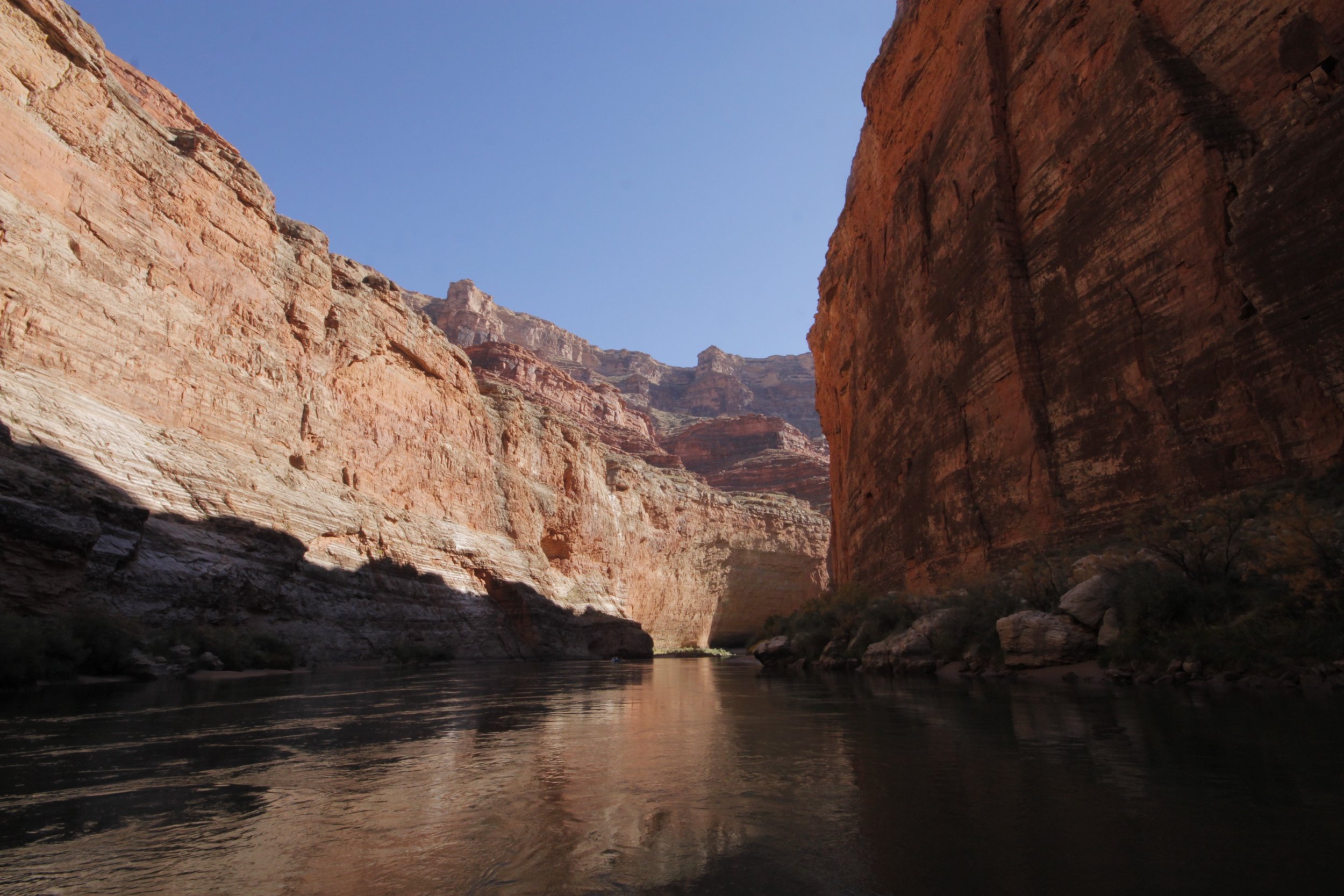 _MG_3273.jpg