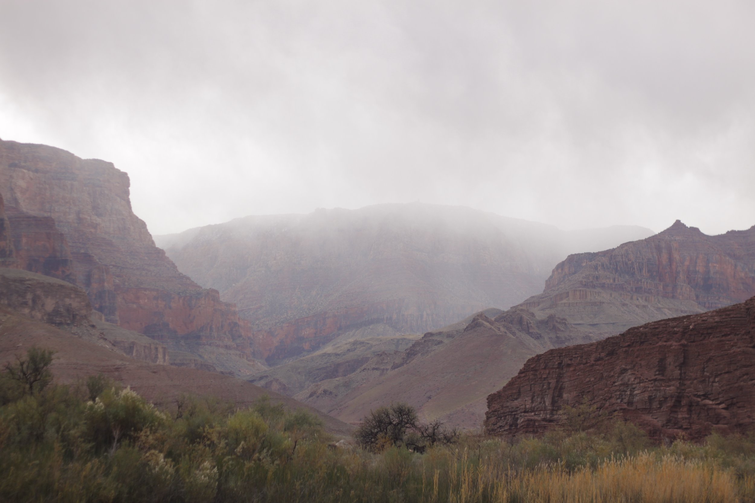 _MG_3740.jpg
