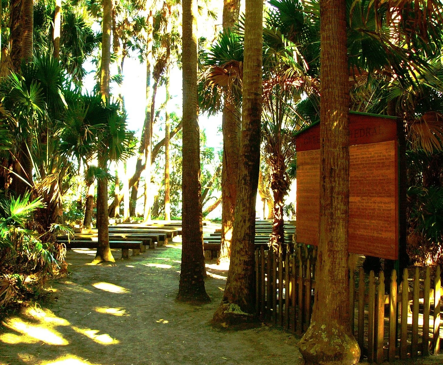 Green Cathedral _ Tiona.JPG
