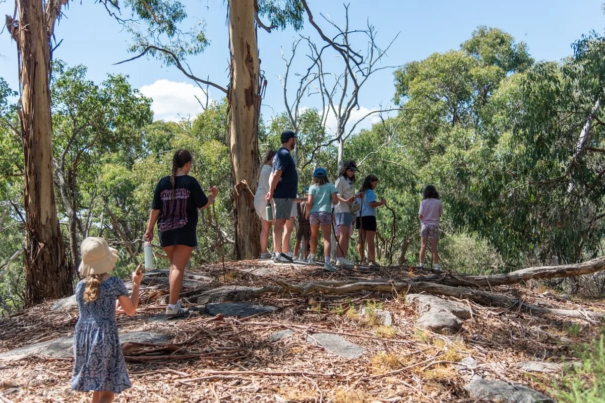 Copy of News & Updates Cover Template (2).jpg