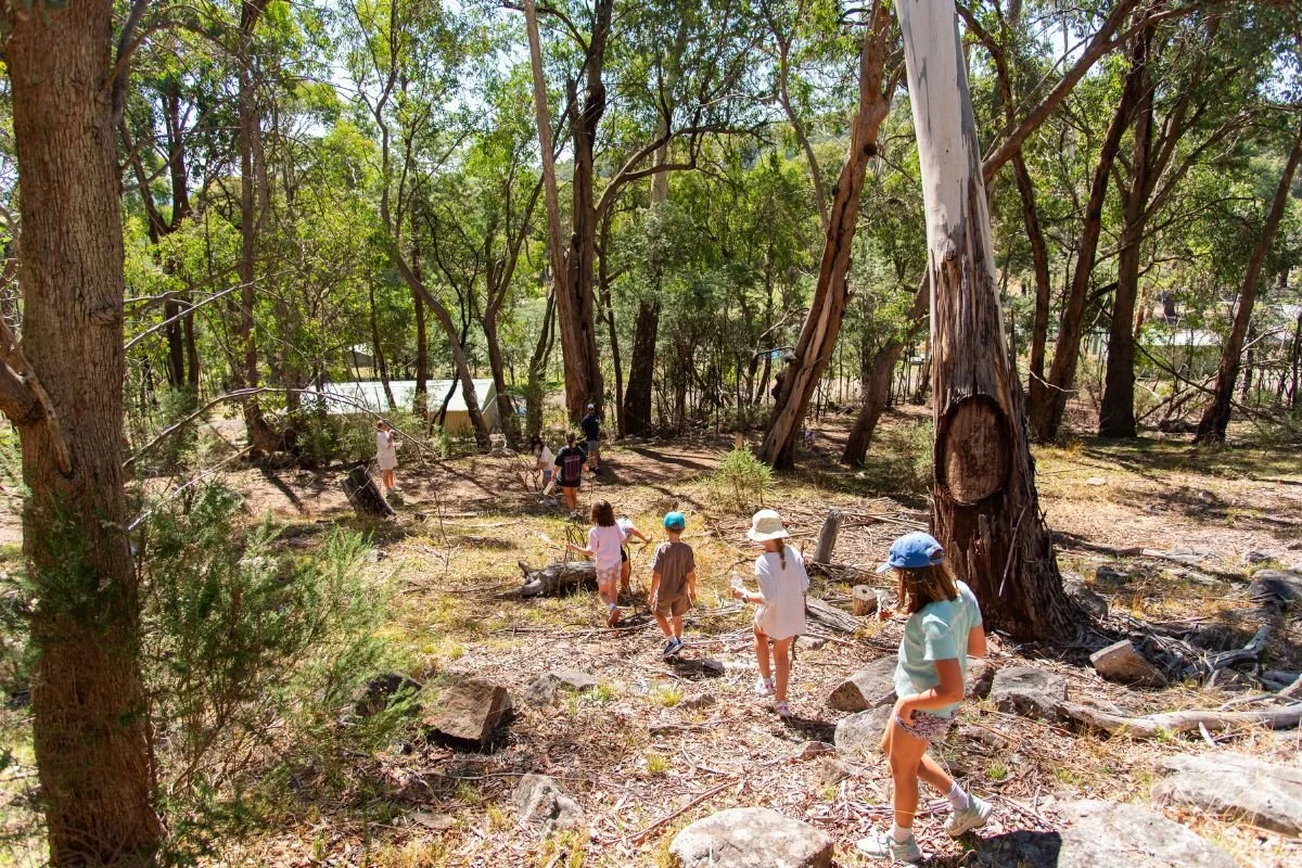 Copy of News & Updates Cover Template.jpg