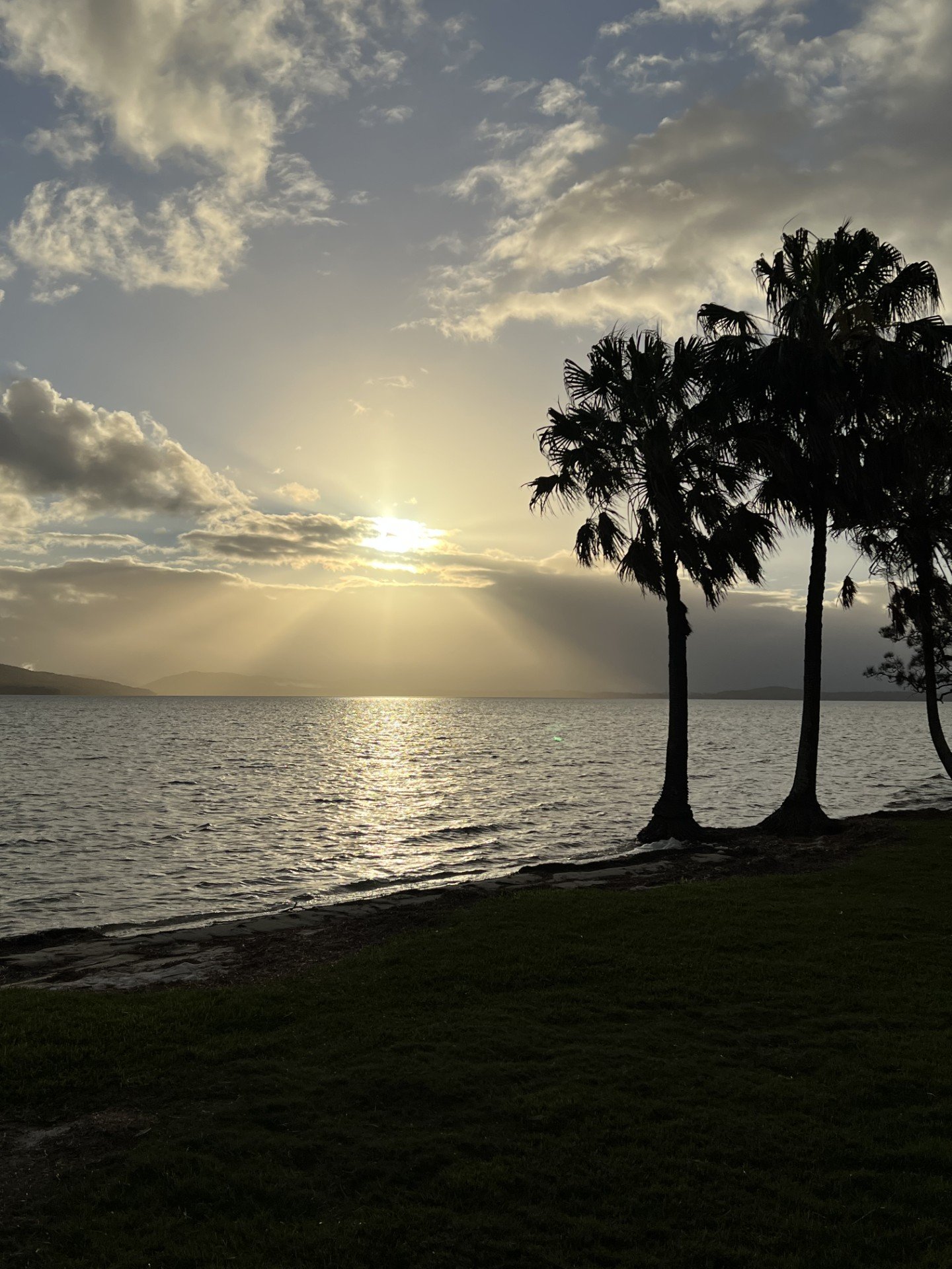 e1388150-e2b7-47ed-a591-a7fae2793ae2.jpg
