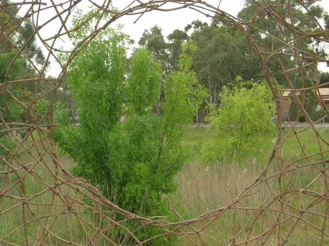 2008-Fleurieu-Biennale-Lit-Landscape-Project.jpg
